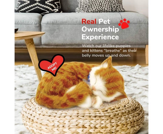 Інтерактивна іграшка кіт ORANGE TABBY Perfect Petzzz