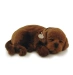 Perro CHOCOLATE LAB de peluche dormilón Perfect Petzzz 