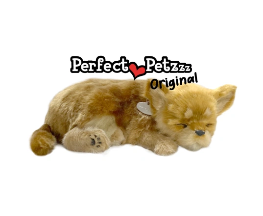 Perro CHIHUAHUA de peluche dormilón Perfect Petzzz 