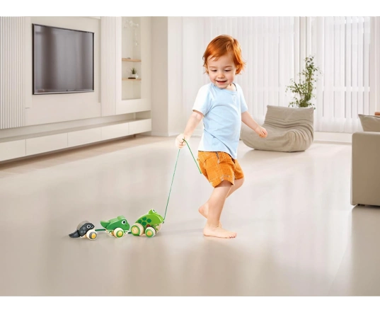 Familia de Ranas de Arrastre Hape