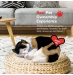 Інтерактивна іграшка кіт CALICO Perfect Petzzz