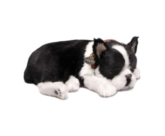 Perro BOSTON TERRIER de peluche dormilón Perfect Petzzz 