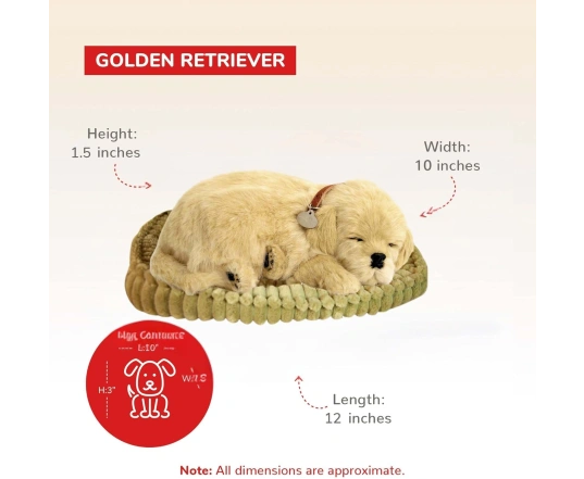 Perro GOLDEN RETRIEVER de peluche dormilón Perfect Petzzz 