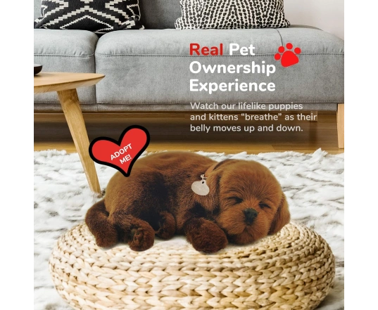 Perro CHOCOLATE LAB de peluche dormilón Perfect Petzzz 