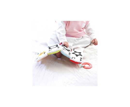 Mis Cartas Sensory Vulli Sophie la Girafe