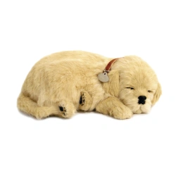 Perro GOLDEN RETRIEVER de peluche dormilón Perfect Petzzz  - imagen