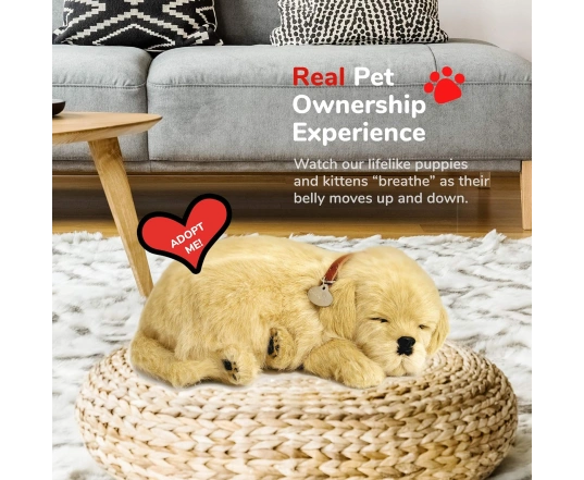 Perro GOLDEN RETRIEVER de peluche dormilón Perfect Petzzz 