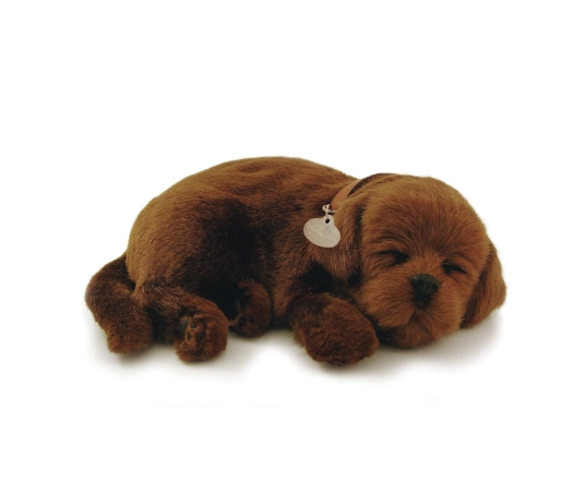 Perro CHOCOLATE LAB de peluche dormilón Perfect Petzzz 