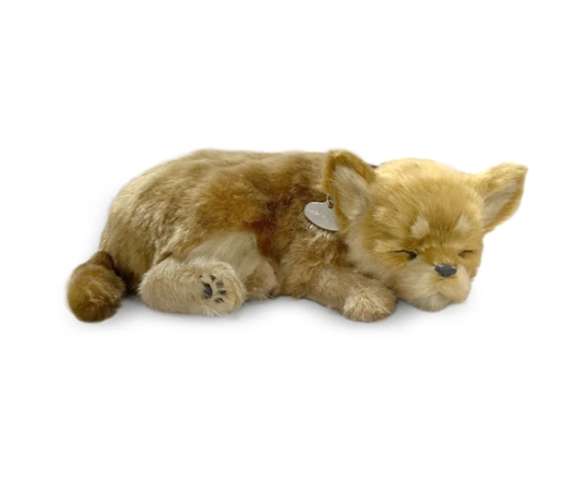 Perro CHIHUAHUA de peluche dormilón Perfect Petzzz 