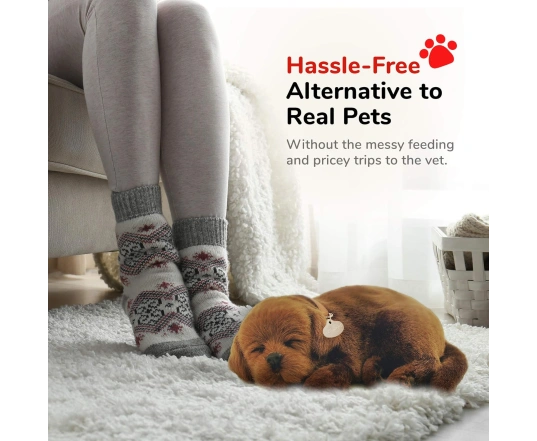 Perro CHOCOLATE LAB de peluche dormilón Perfect Petzzz 