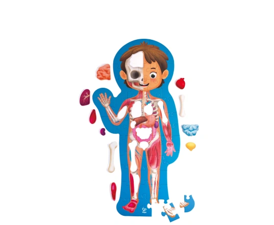 Puzzle cuerpo humano Hape