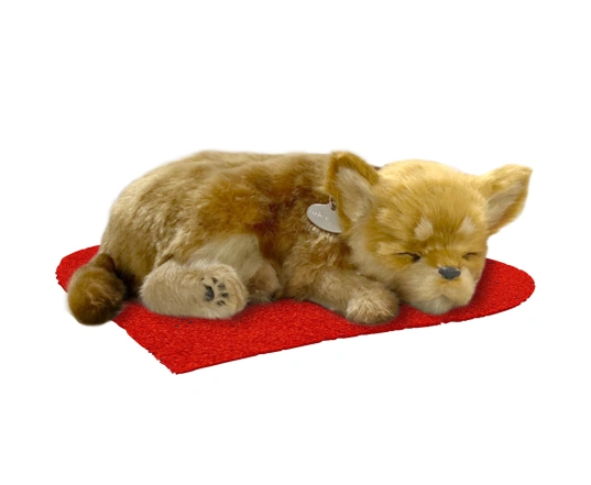 Perro CHIHUAHUA de peluche dormilón Perfect Petzzz 