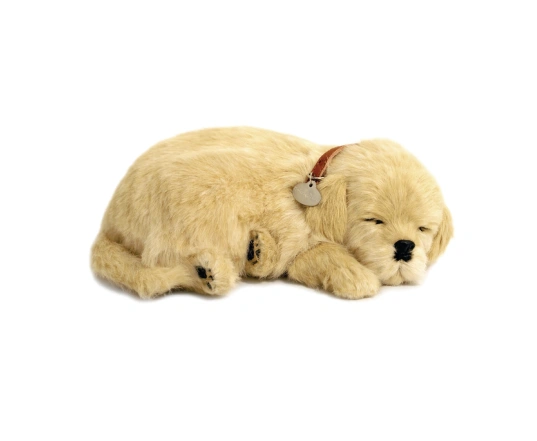 Perro GOLDEN RETRIEVER de peluche dormilón Perfect Petzzz