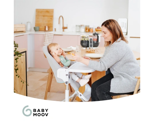 Блендер - пароварка Babymoov Nutribaby+ Grey