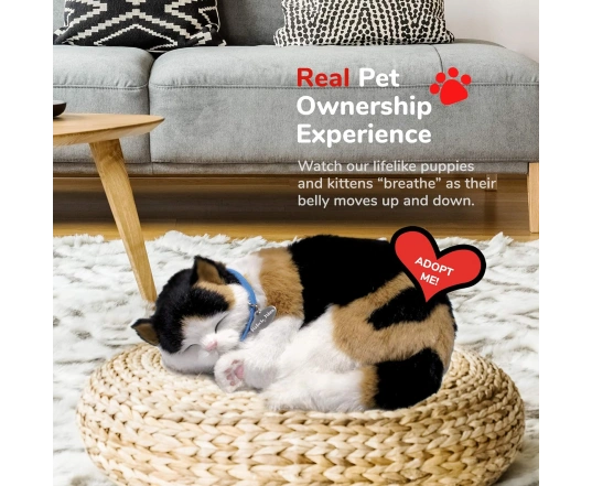 Інтерактивна іграшка кіт CALICO Perfect Petzzz