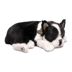 Perro BOSTON TERRIER de peluche dormilón Perfect Petzzz  - imagen