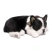 Perro BOSTON TERRIER de peluche dormilón Perfect Petzzz 